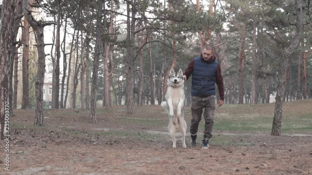 White Caucasian man walking with a dog in the forest. White Caucasian man walking with a dog in the forest.