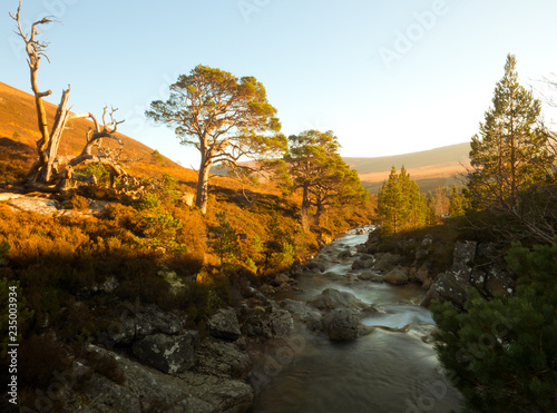 Highlights and Shadows - Cairngorm National Park