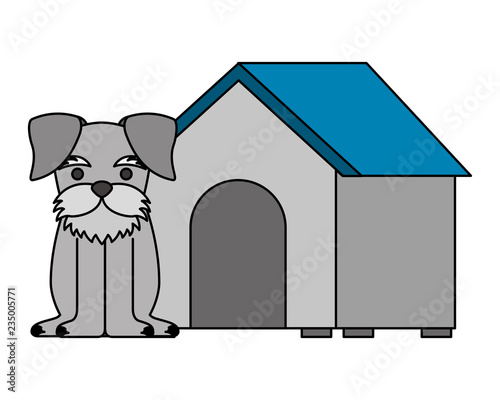 cute dog pet and house