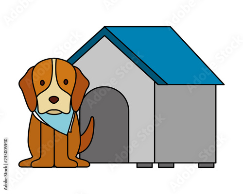 cute dog pet and house
