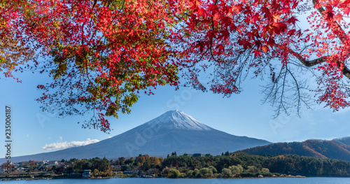 Mt.Fuji in autumn at Lake kawaguchiko in japan. © Danupol