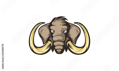 Elephant vector mascot. Head of African elephant. Emblem design for sport team.
