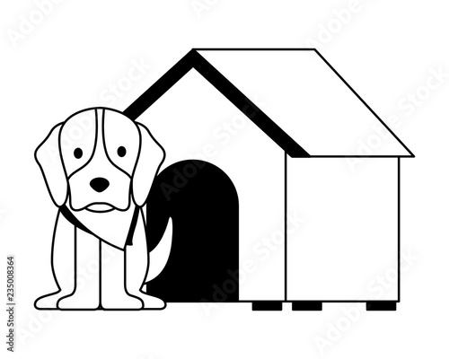 cute dog pet and house