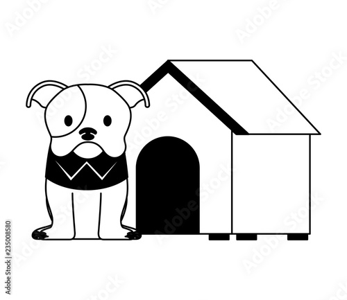 cute dog pet and house