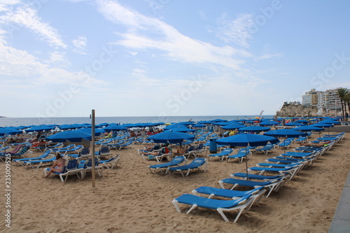 chairs and umbrellas on the beach © mercades