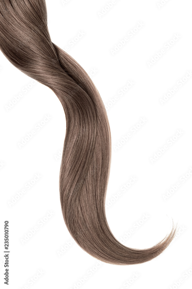 Curl of natural brown hair, isolated on white background Curl of natural brown hair, isolated on white background