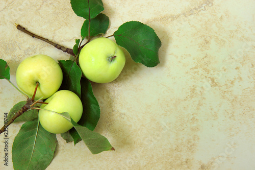 green apple on table photo