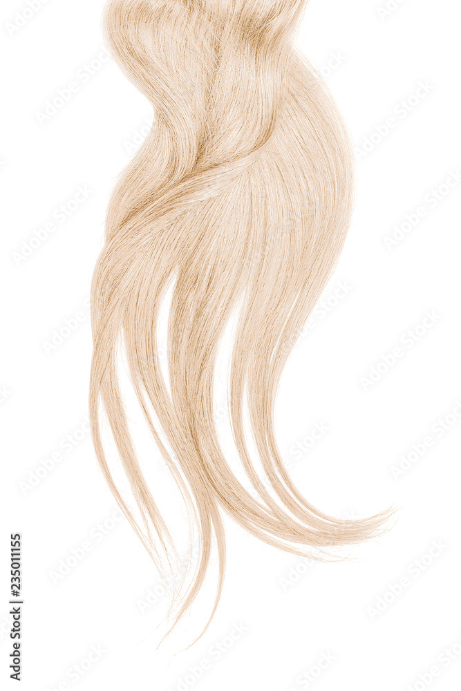 Curl of natural blond hair, isolated on white background Curl of natural blond hair, isolated on white background