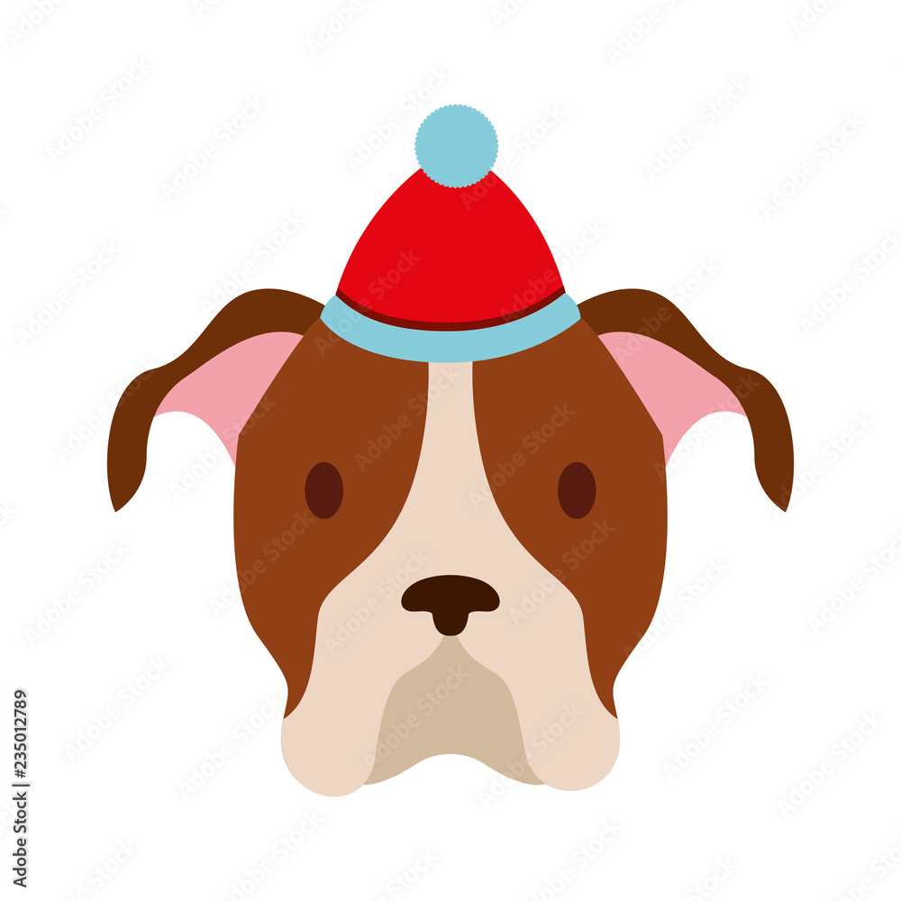 dog merry christmas card