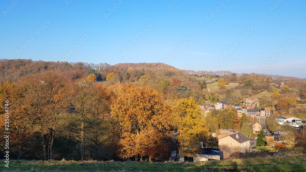 Obraz premium La campagne liégeoise en automne