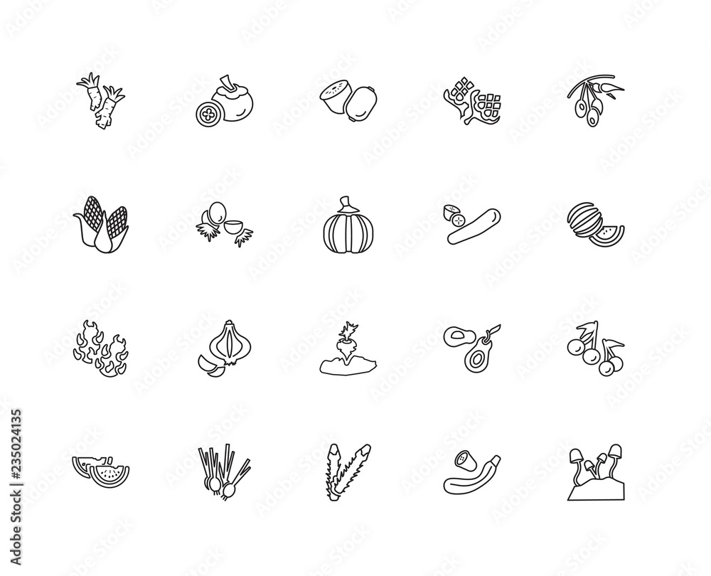 Collection of 20 fruits linear icons such as Pitaya, Mushroom, C Collection of 20 fruits linear icons such as Pitaya, Mushroom, C