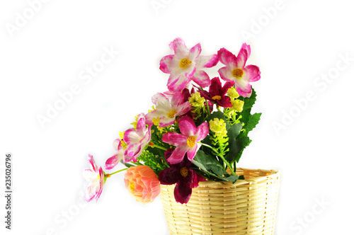 Fototapeta Naklejka Na Ścianę i Meble -  Flowers in pot bamboo on white background