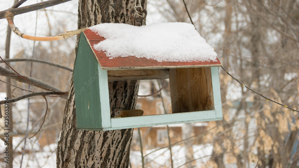 feeder for sparrows feeder for sparrows