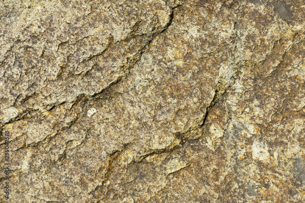 texture of stone texture of stone