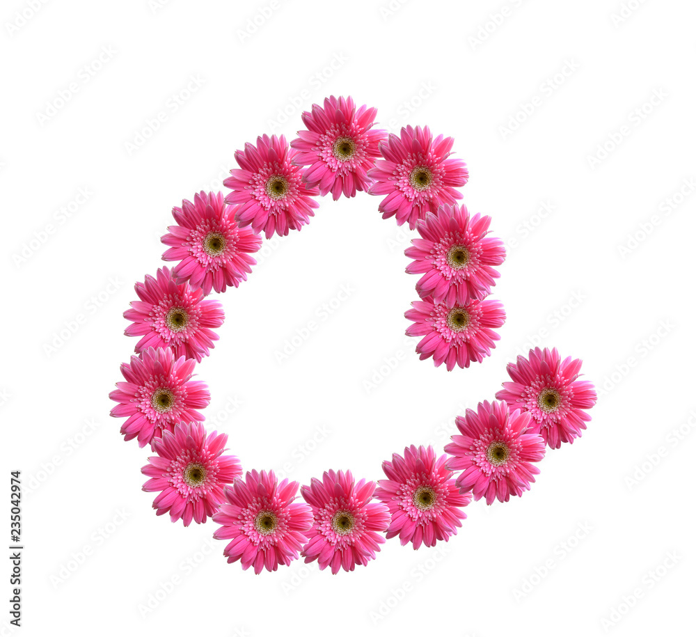 English alphabet from pink chrysanthemum