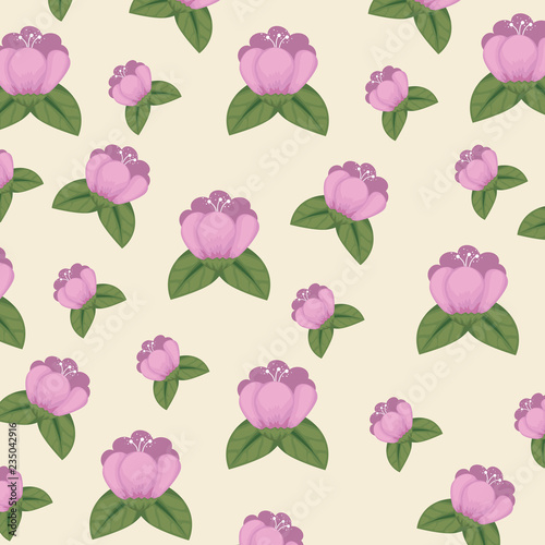 cute flowers with petals and leaves background