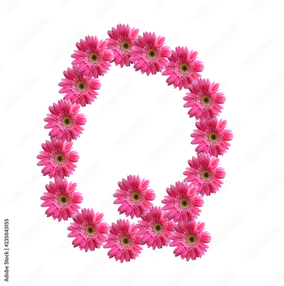 English alphabet from pink chrysanthemum