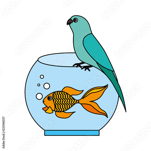 canary and goldfish in bowl