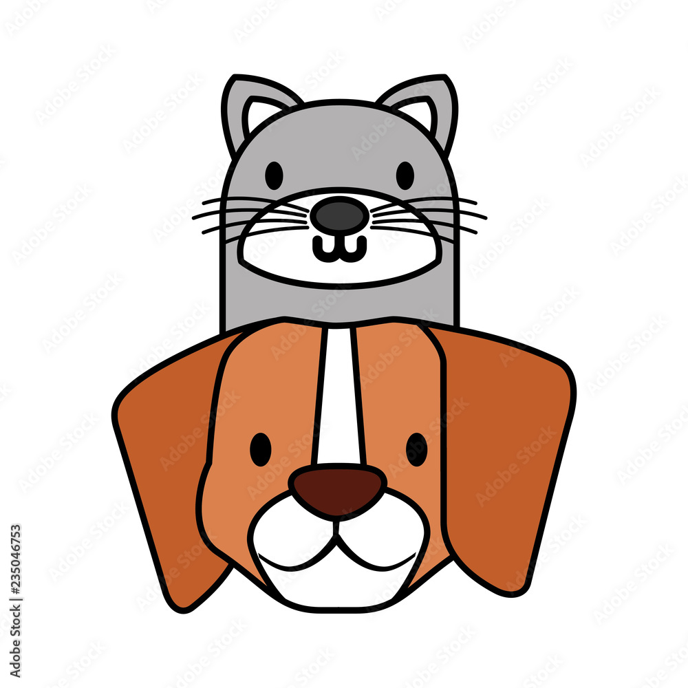 pets dog and cat on white background pets dog and cat on white background