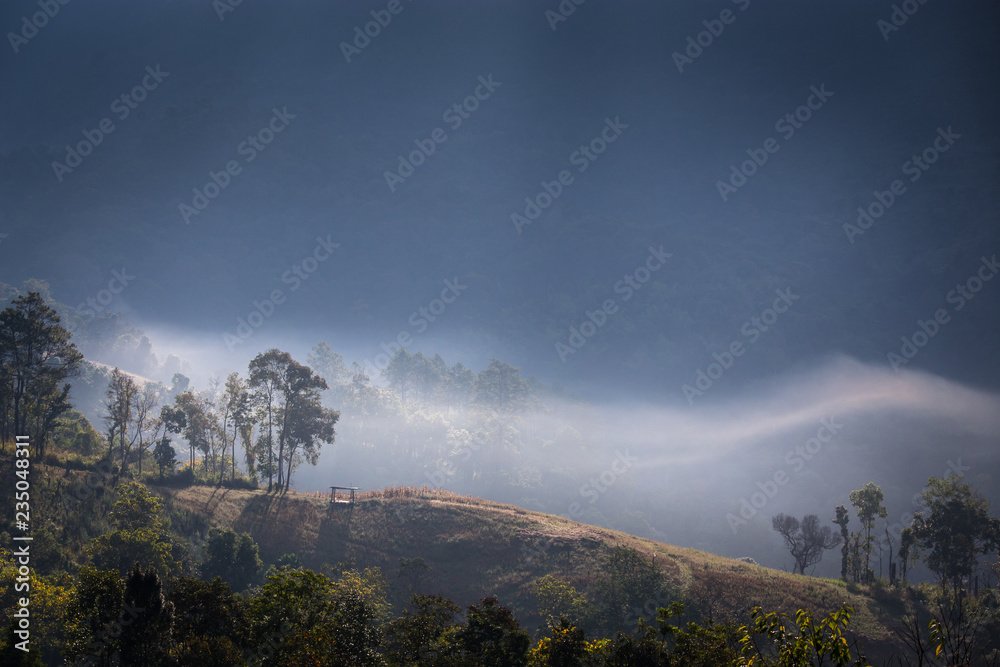 Sunlight shines down on the mountain. Through the mist and trees in the morning atChiang Mai, Thailand