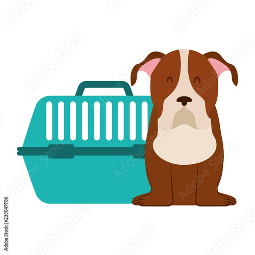 cute dog and pet cage