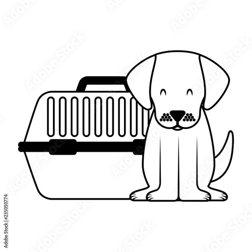 cute dog and pet cage
