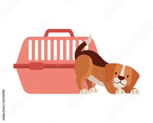 beagle dog and cage transport