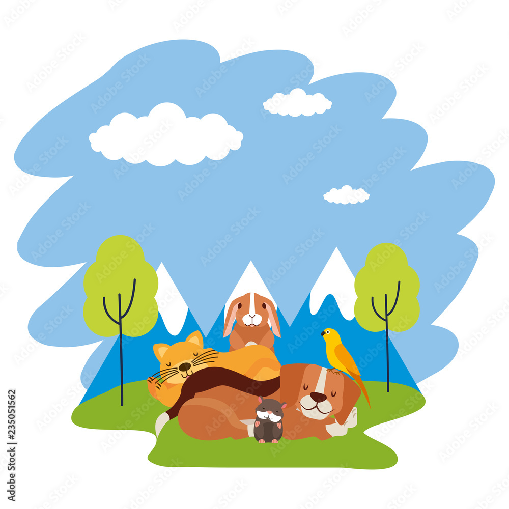 Naklejka premium dog cat hamster rabbit and bird loutdoors