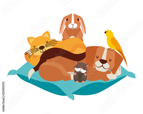 dog cat hamster rabbit and bird on cushion bed