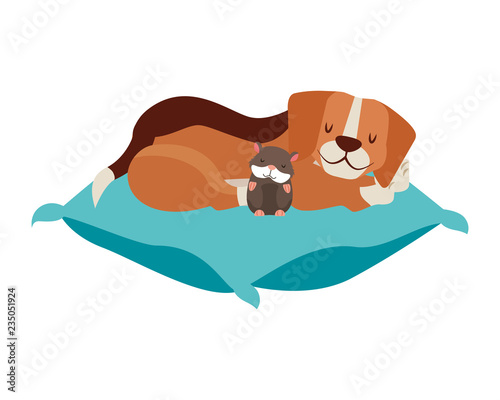 beagle dog and hamster pet on cushion