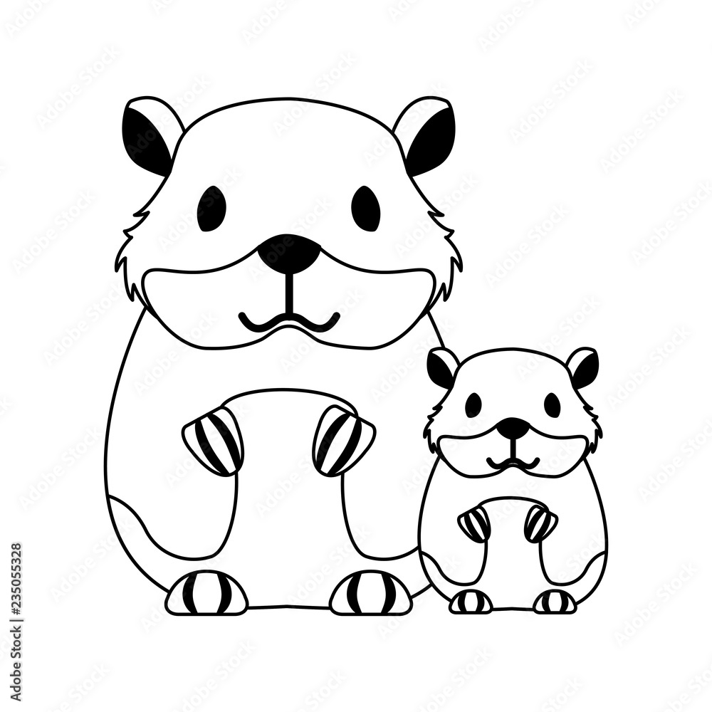 Naklejka premium hamsters rodent on white background