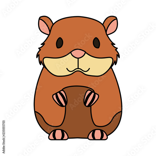 hamster rodent on white background