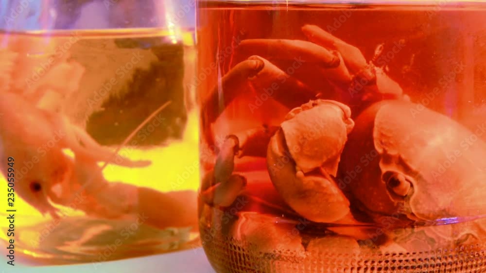 Laboratory samples of animals in a jar. Crabs in a glass jar for