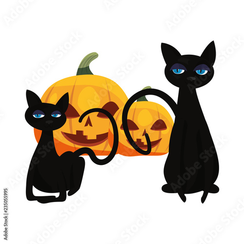 halloween cats and pumpkin party