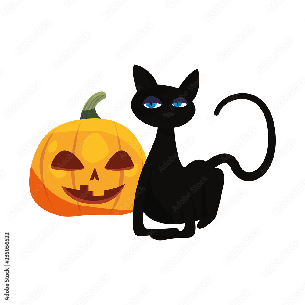 Fototapeta premium black cat halloween and pumpkin