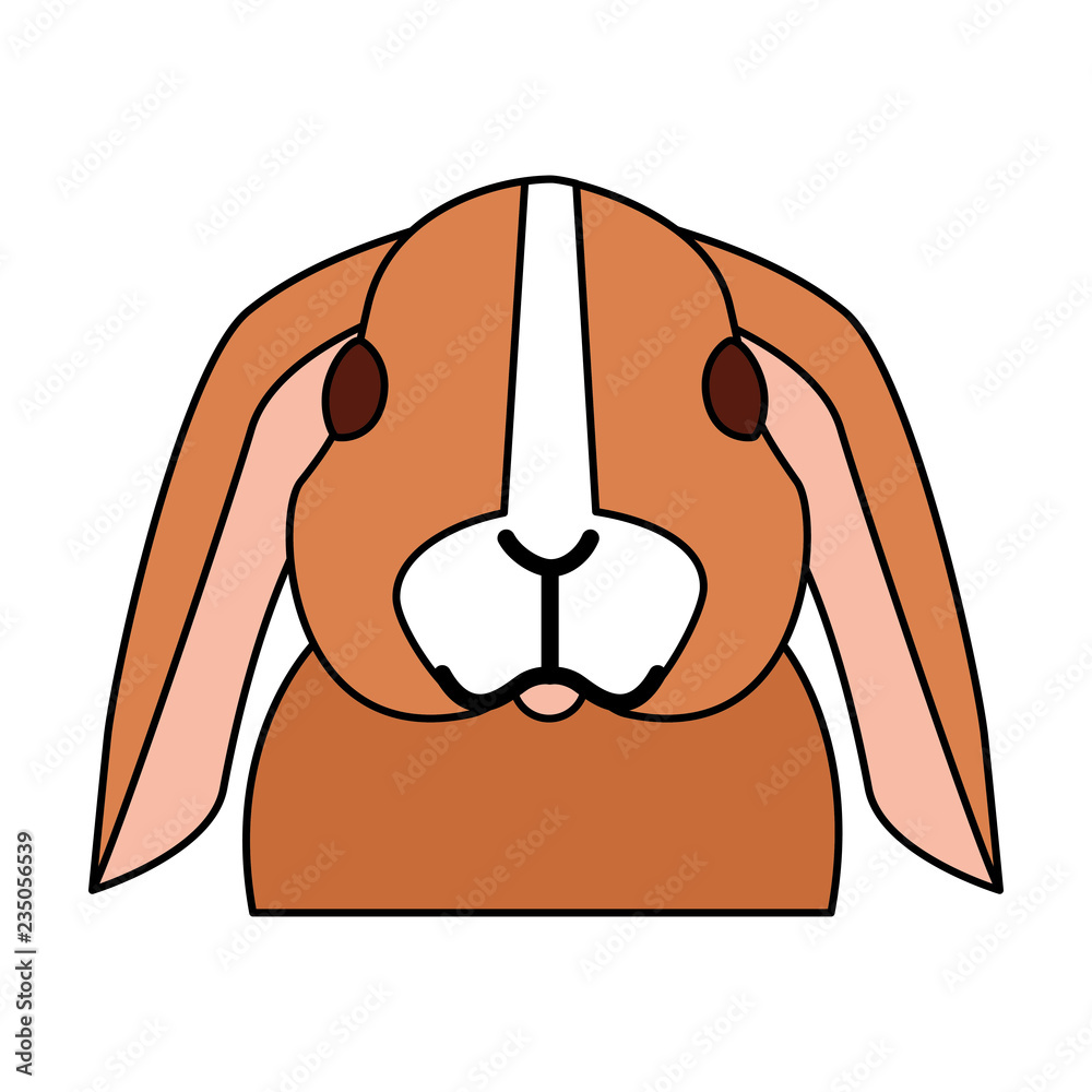 Obraz premium cute rabbit on white background