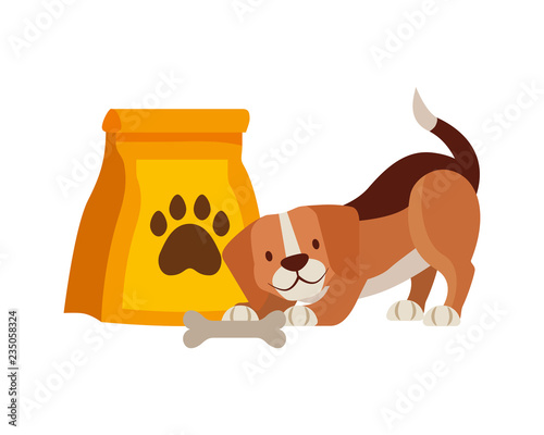pet shop related