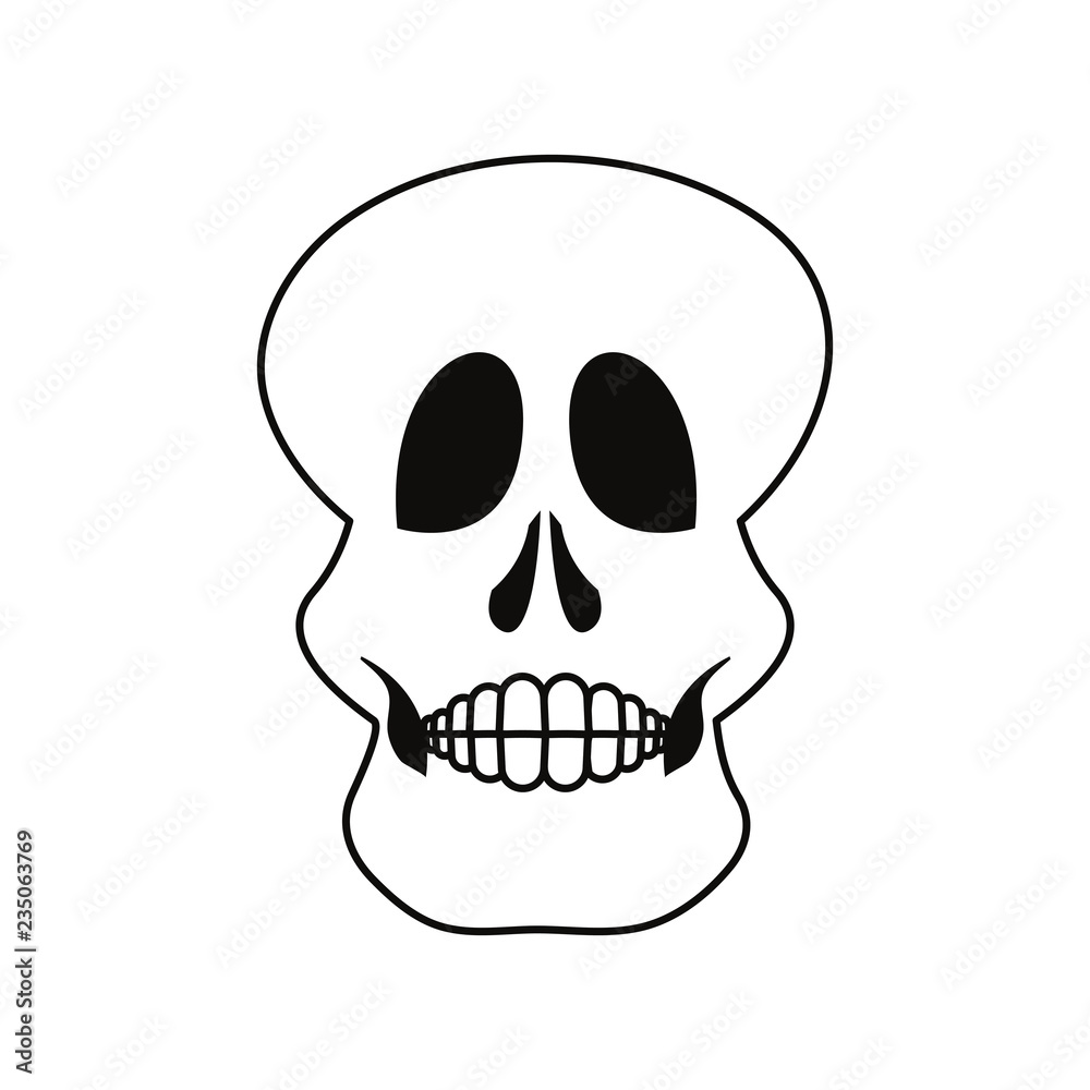 skull human on white background skull human on white background