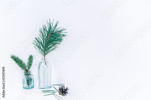New Year or Christmas composition with fir twigs