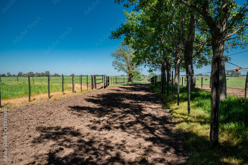 Rural countryside dust road with green herbs and grass on a blue sky sunny day Rural countryside dust road with green herbs and grass on a blue sky sunny day