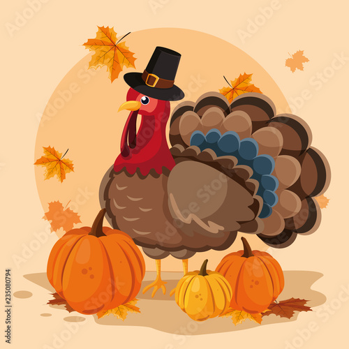 turkey with pumpkins and hat pilgrim of thanksgiving day
