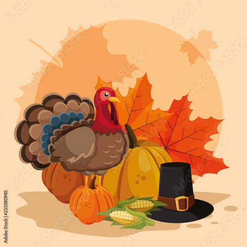turkey with pumpkins and hat pilgrim of thanksgiving day