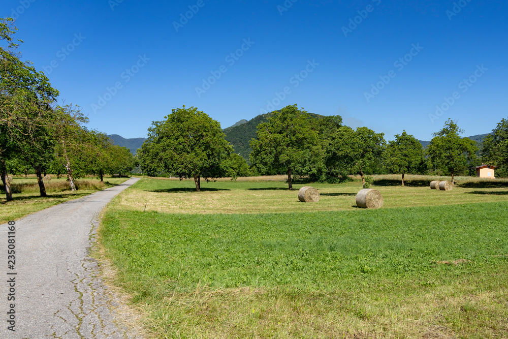 Stura di Demonte valley at summer