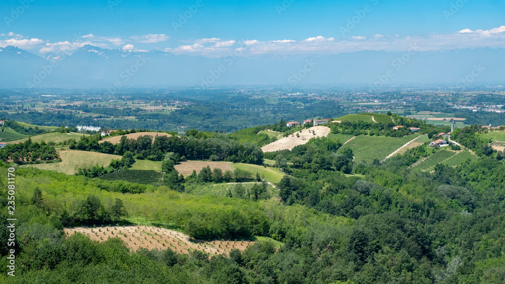 Vineyards near Dogliani, Cuneo, in Langhe