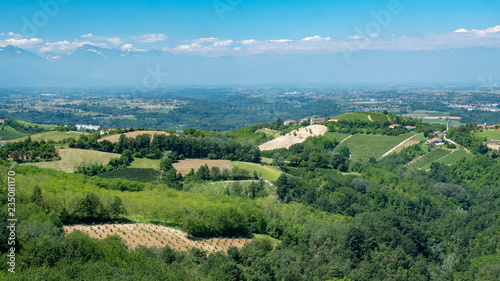 Vineyards near Dogliani, Cuneo, in Langhe