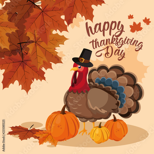 turkey with pumpkins and hat pilgrim of thanksgiving day