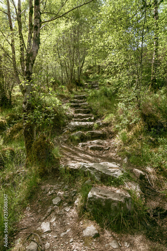 Stony Path through woods © Anja
