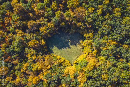 Top view of a forest clearing from a drone photo