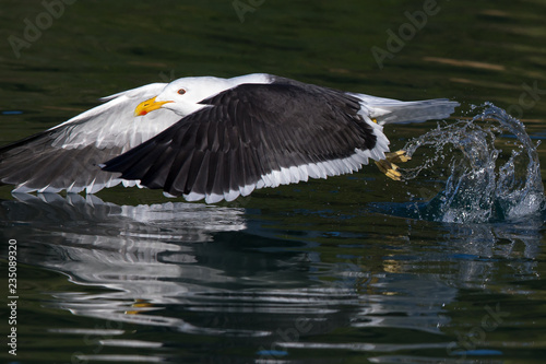 Take off