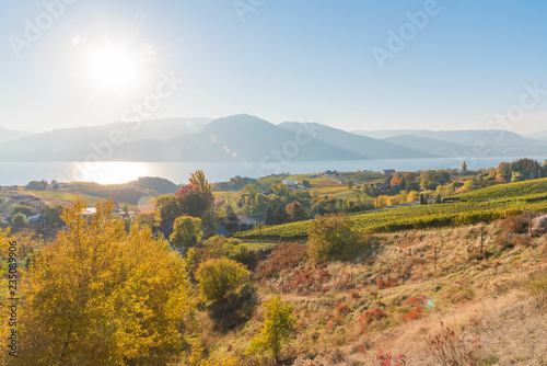 Naramata Bench wineries, Okanagan Lake and mountains in October photo